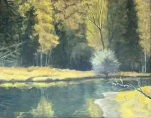 Golden Wetlands
