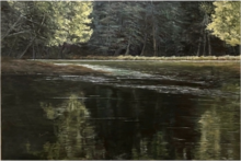 Deep Reflections 2; oil on canvas