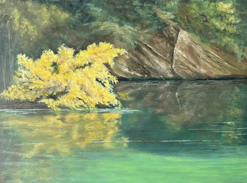 Yellow Bush (2)